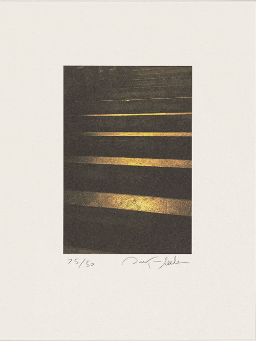 Toma la medicina, Ouka Leele