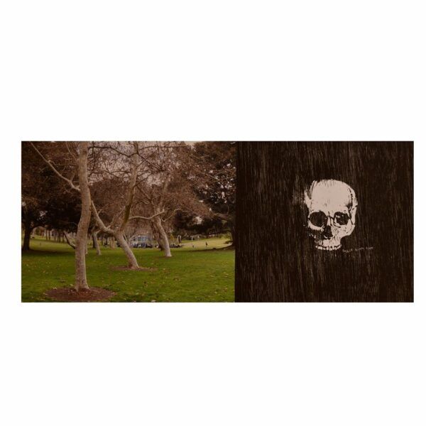 Sweet California Sweet