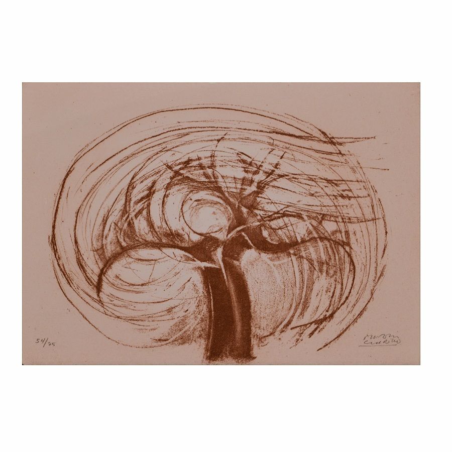 Árbol de luz y sombra