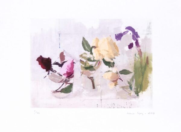 ROSAS DE AÑO NUEVO, 2017 (enmarcado)