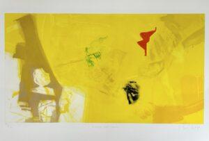 Yellow and colors, Joaquin Capa