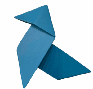 Pajarita, Juanpe Somoza