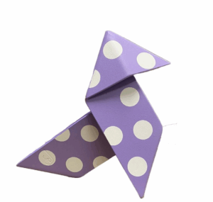 Pajarita, Juanpe Somoza