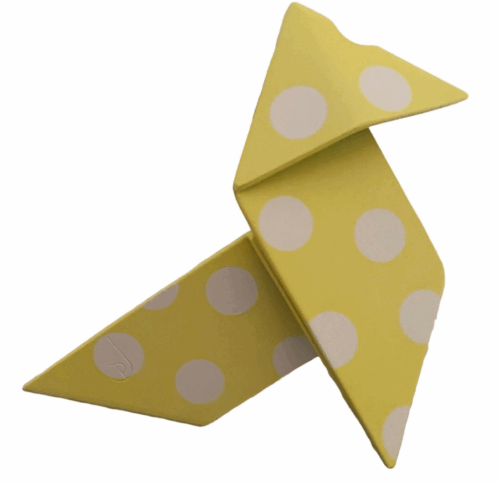 Pajarita, Juanpe Somoza