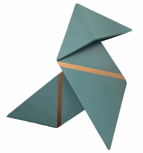 Pajarita, Juanpe Somoza