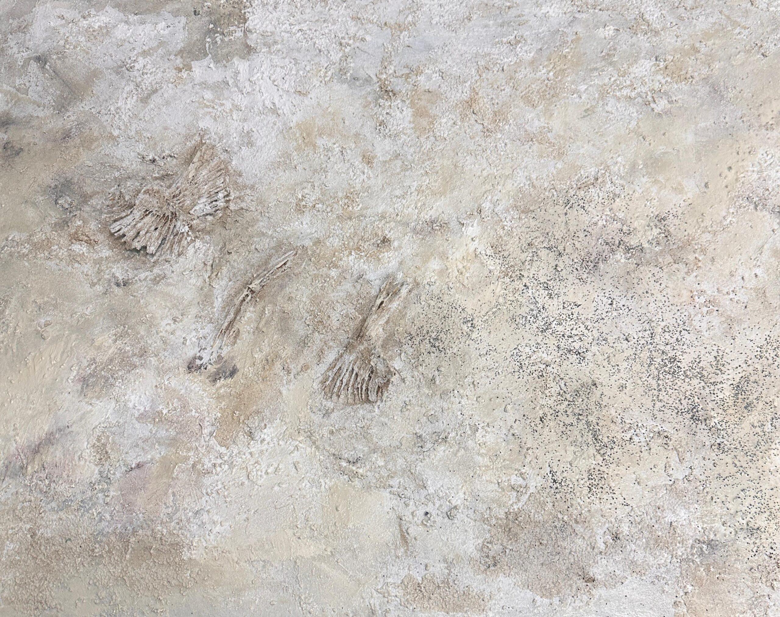 Desenterrado, Tarsila Jiménez