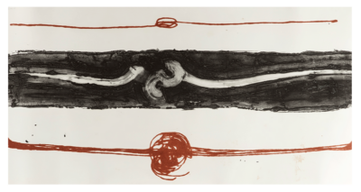 Aeróvoro, Martín Chirino