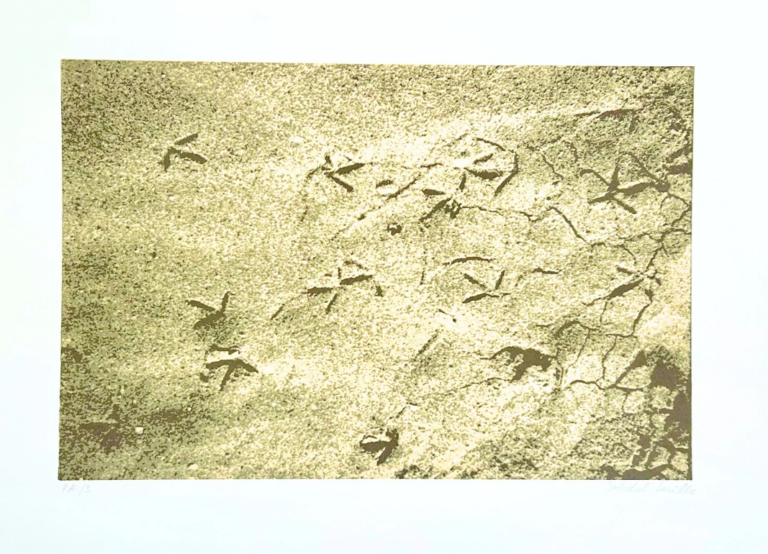 soledad-sevilla-serigrafia