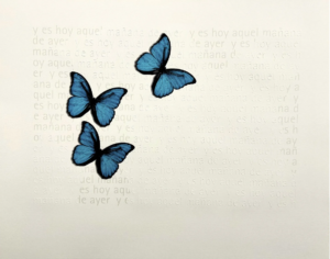 Sin título, Soledad Sevilla