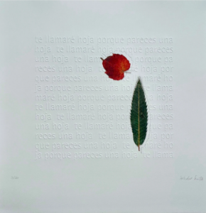 Sin título, Soledad Sevilla