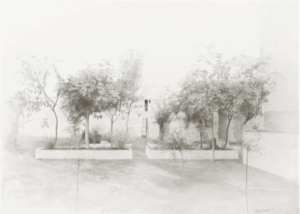 El jardín de Tomelloso, María Moreno