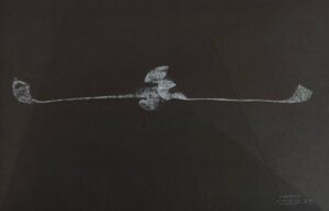 Aeróvoro blanco , Martín Chirino