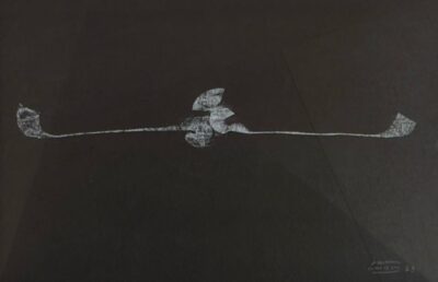 Aeróvoro blanco , Martín Chirino