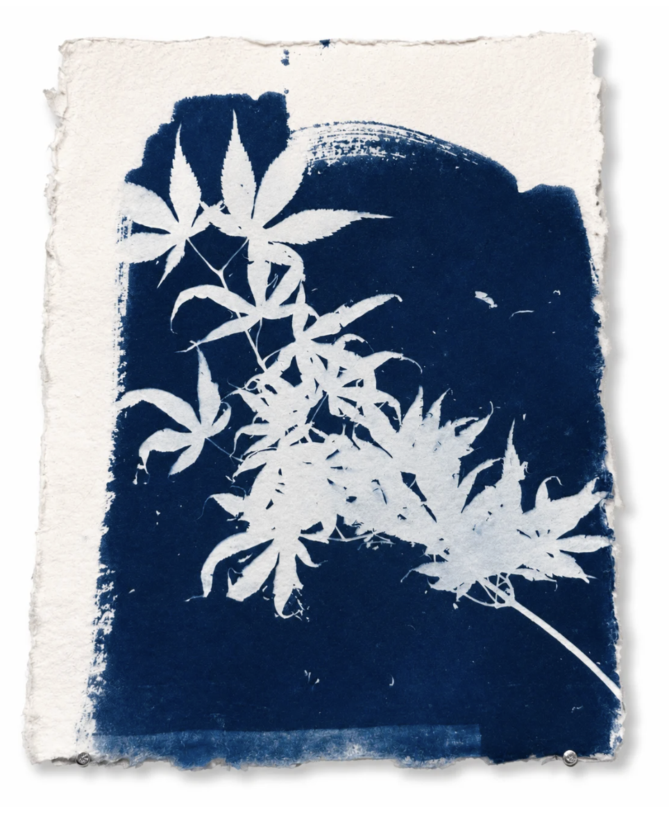 Jardín Azul I, Arturo Garrido