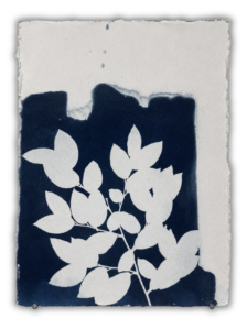 Jardin Azul II, Arturo Garrido