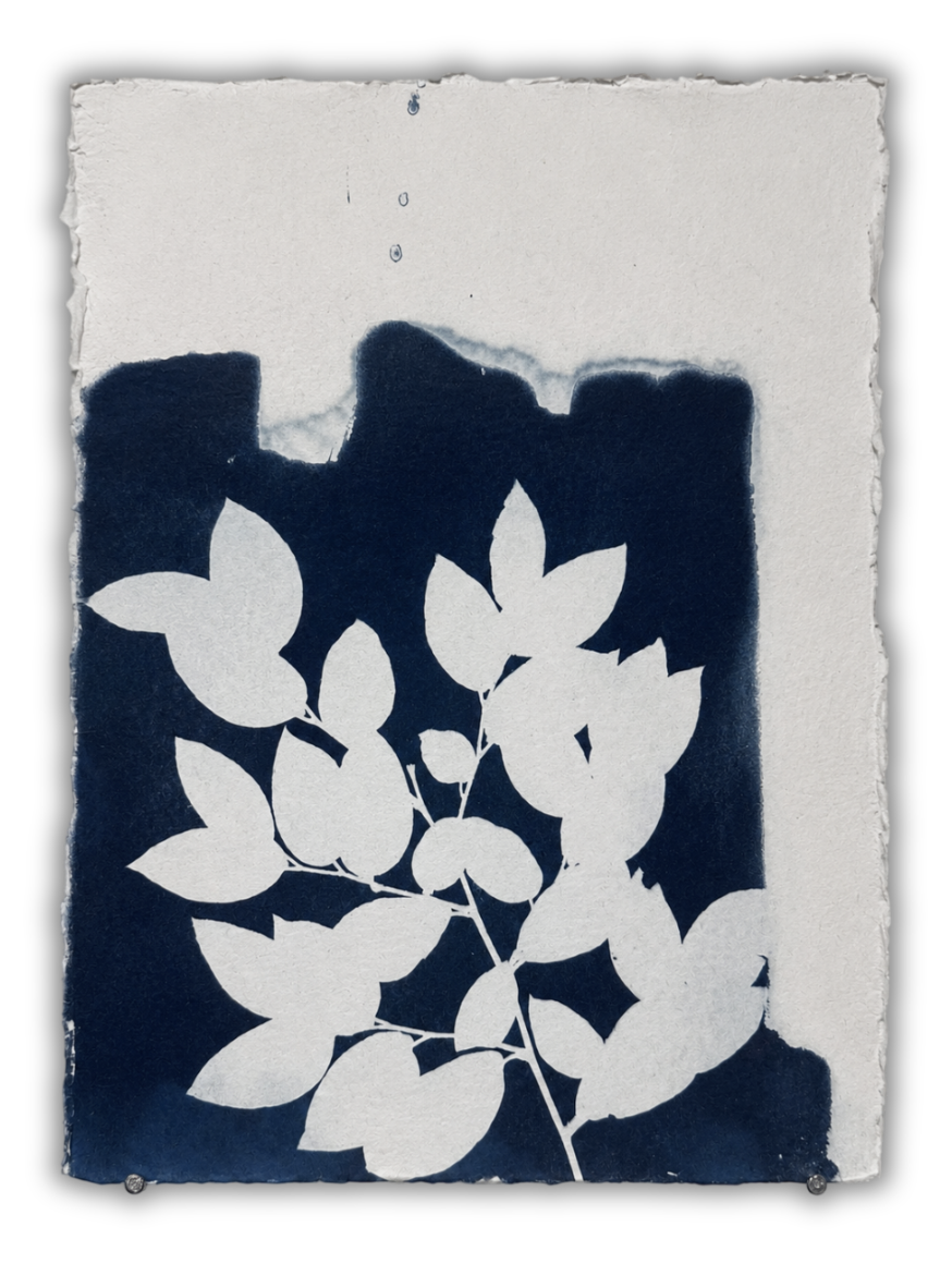 Jardin Azul II, Arturo Garrido