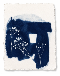 Jardín Azul III, Arturo Garrido