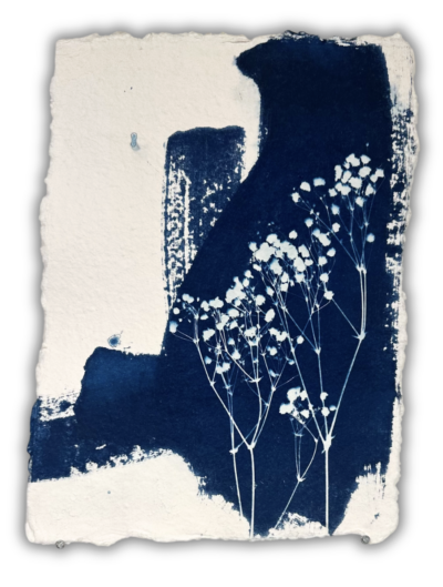 Jardín Azul IV, Arturo Garrido