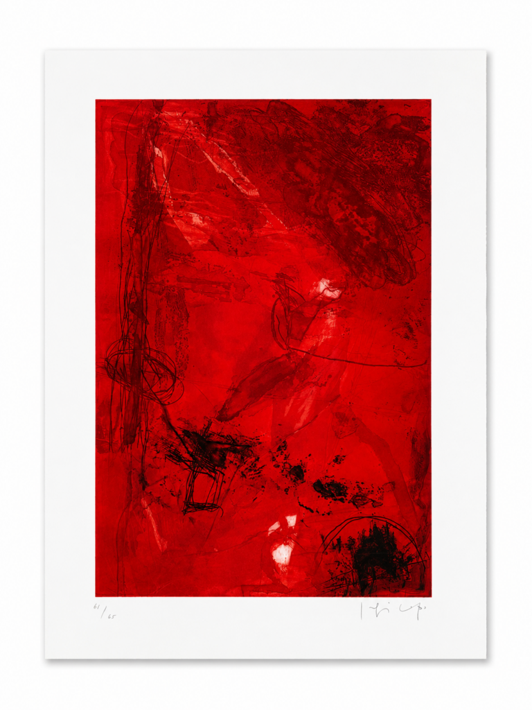 Rojo y Negro, Joaquin Capa