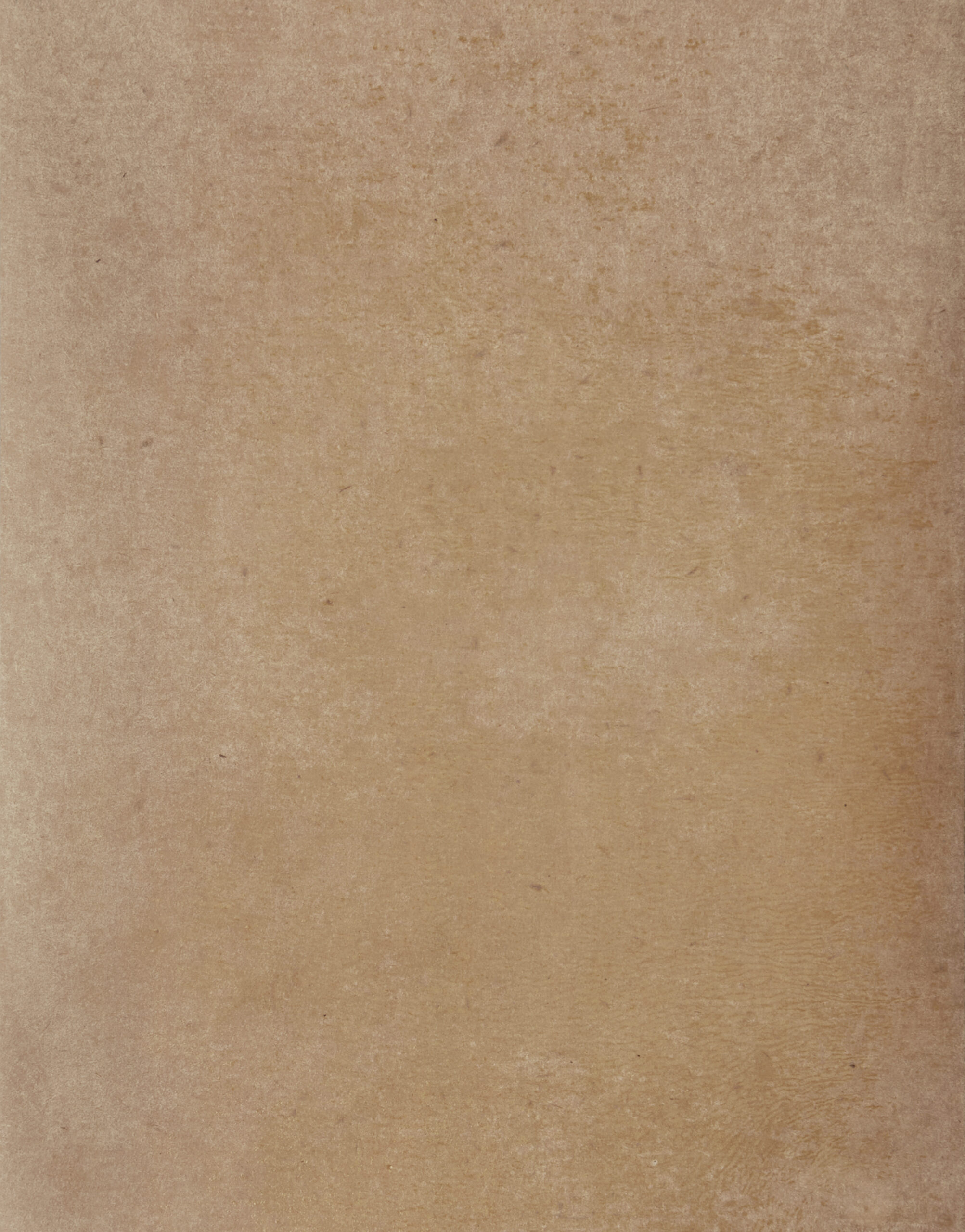 Boceto para el retrato de Dora Maar, Picasso - Imagen 8